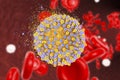 Destruction of hepatitis C virus