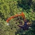 Destruction of an illegally constructed old building among trees