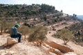 Destruction of Palestinian Olive Groves