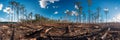 destruction of pristine forests to make way for industrial development, emphasizing the irreversible loss of