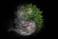 Destruction and Rebirth. 3D Rendering of Yin Yang symbol incorporating lava flow and vegetation regrowth following volcanic erupti