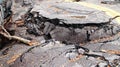 Destruction Of Road Falling Apart Royalty Free Stock Photo