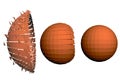 The destruction of the sphere in three stages.