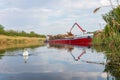 Destruction of the swans Ã¢â¬â¢natural habitat. Royalty Free Stock Photo