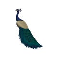 Detaiked flat vector icon of female peacock. Beautiful wild bird with colorful feathers. Element for promo poster or Royalty Free Stock Photo