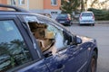 The detail of an abandoned broken car Royalty Free Stock Photo