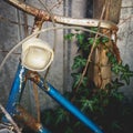 Detail of an abandoned old vintage rusty bicycle with ivy on the background. Royalty Free Stock Photo
