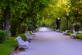 Detail of the Alameda de Cervantes Park in Soria Spain