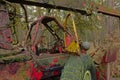 Detail of an old abandoned tractor in nature