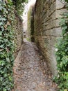 Detail alley in Turenne, France