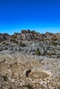 Detail of an ammonite fossil in Torcal de Antequera in Malaga, Spain, an impressive karst landscape