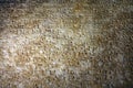 Cuneiform Block Tablet Ancient Text Royalty Free Stock Photo