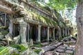 Detail of ancient door at Ta Prohm Angkor Wat Cambodia Royalty Free Stock Photo