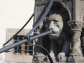 Ancient fountain with the head of a lion to Viterbo in Italy. Royalty Free Stock Photo