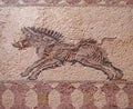 detail of an ancient roman floor mosaic with the image of a running wild boar from the archeological ruins known as the house of