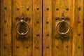 Detail of an ancient wooden door Royalty Free Stock Photo