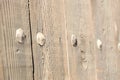 Detail of ancient wooden door Royalty Free Stock Photo