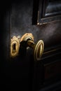 Detail of antique golden door handle knob Royalty Free Stock Photo