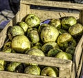 detail of apple at market Royalty Free Stock Photo