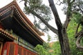 Detail of architecture in imperial garden, Forbidden City