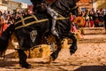 Detail of the armor of a knight mounted on horseback during a display at a medieval festival