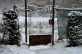 Detail of an Art Nouveau gate with an oval decorative element of a rusty metal garden gate connected to a fence. The yew hedge is