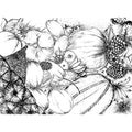 Tropical Fruits in Black and White
