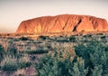 Detail of Australian Outback