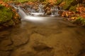 Detail of autumn brook with rocks and leaves Royalty Free Stock Photo