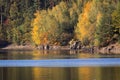 Detail of autumn coloful trees with water, dam Rimov, Czech land