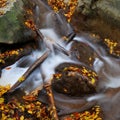 Detail of Autumn Waterfall