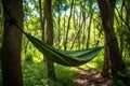 detail of a backpacker hammock between two lush trees