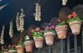 Image of a balcony decorated with pots of geraniums in bloom.