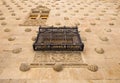 Facade of Casa de las Conchas in Salamanca, Spain, covered in scalloped shells, Community of Castile and LeÃÂ³n, Spain. Declared a