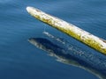 Detail of balinese old typical bamboo boat in the ocean Royalty Free Stock Photo