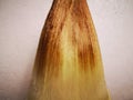 The detail of the bamboo shoots coat Royalty Free Stock Photo