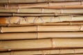 Detail of bamboo stalks