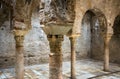 Detail of The Banuelo baths. Granada