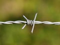 Detail barbed wire