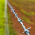 Detail of barbed wire rural fence Royalty Free Stock Photo