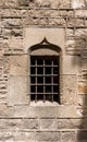 Detail of Barcelona Cathedral - Spain Royalty Free Stock Photo