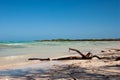 Detail. Beach, Cayo Coco, Cuba