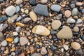 detail of beach rocks from above on trail