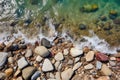 detail of beach rocks from above on trail