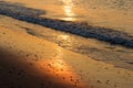 Detail of beach with sea foam in golden-orange colors by sunset gleam