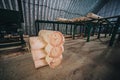 Detail of beams in cabin wall. not painted wood Royalty Free Stock Photo