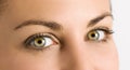 Detail of beautiful green eyes on a young girl Royalty Free Stock Photo