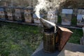 detail of beekeeper smoker to calm bees in beehive metal smoke early morning frame with honeycomb shine stream sun Royalty Free Stock Photo