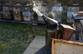 detail of beekeeper smoker to calm bees in beehive metal smoke early morning frame with honeycomb sun Royalty Free Stock Photo