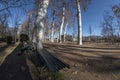 Detail of a bench of the park of La Isla in Aranjuez